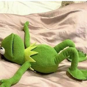 Meet your Posher, Rayven